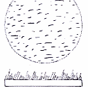 Online Flora of the Maltese Islands  2002-2019)